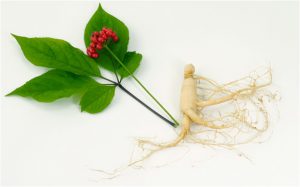 ginseng tegen erectie stoornis blog svakom