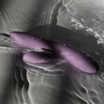 Svakom - Trysta Neo Rabbit Vibrator met G-Spot Ball waterproof
