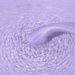 Svakom - Margot Verwarmende G-Spot Vibrator met APP